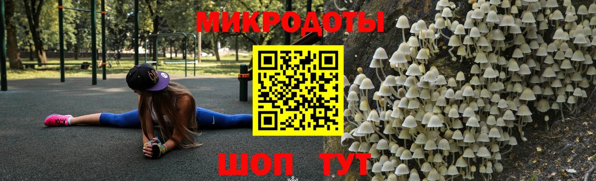 купить закладку  Вход с VPN  Городец  Псилоцибиновые грибы Cubensis 