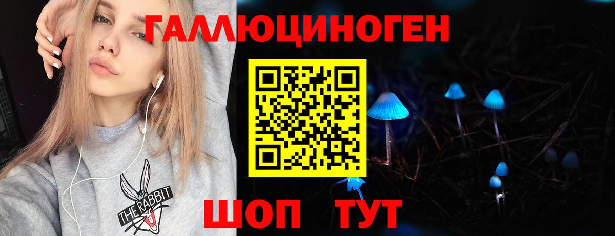 Галлюциногенные грибы Psilocybe Городец